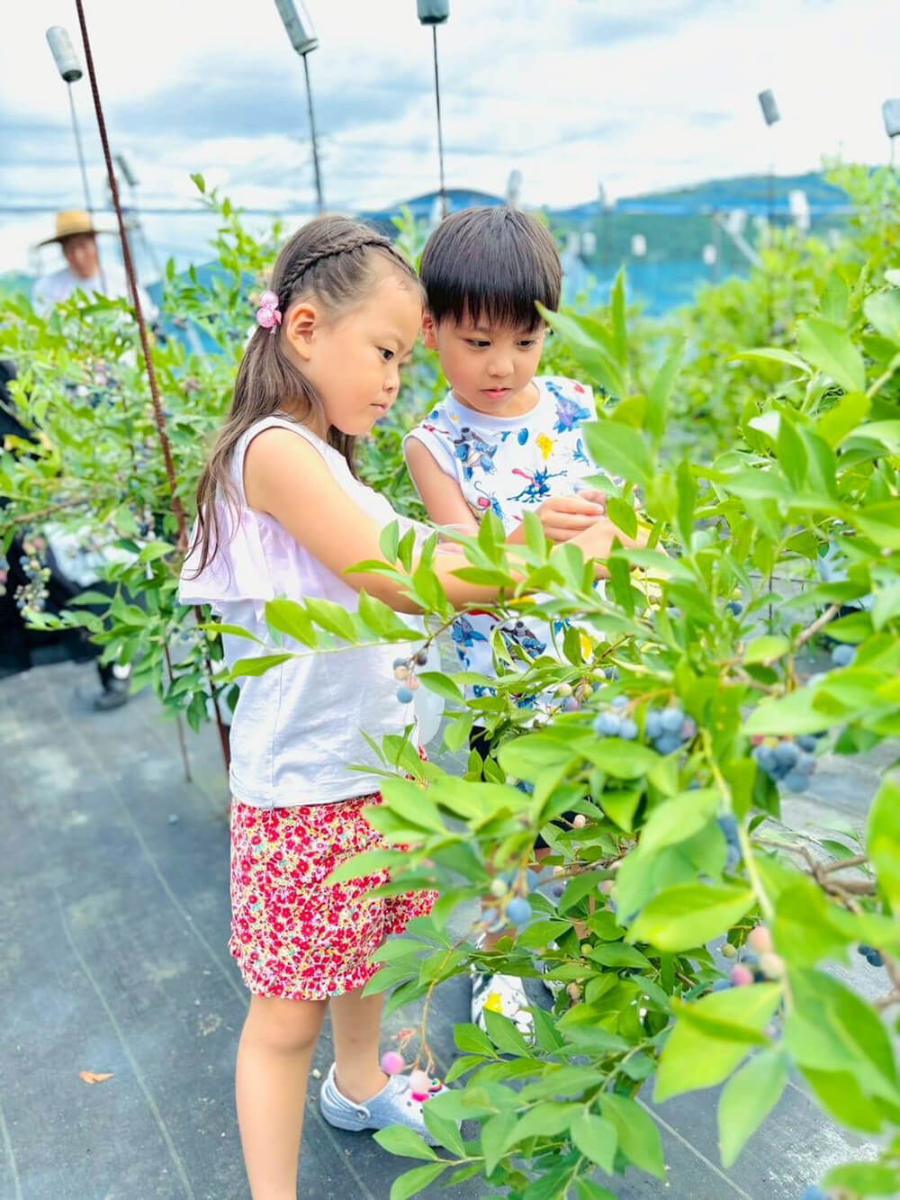 美咲ブルーファーム寒竹