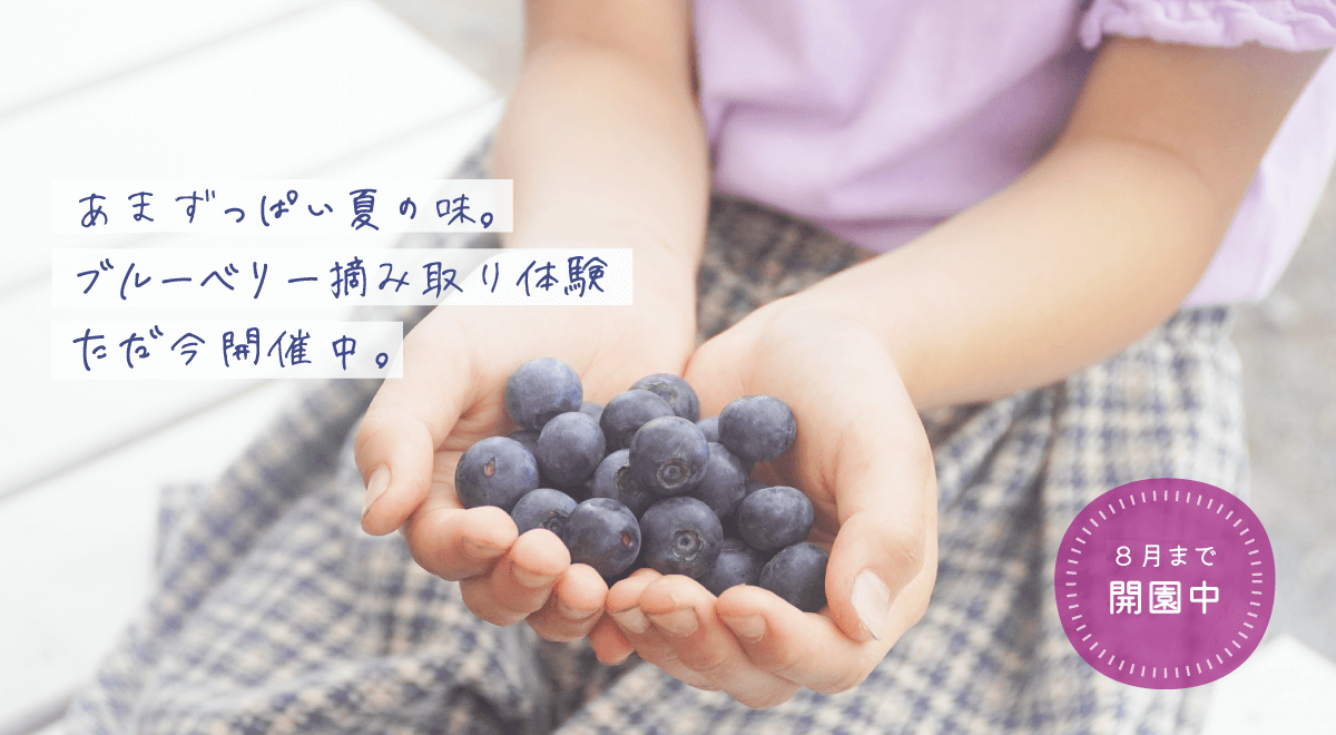 美咲ブルーファーム寒竹